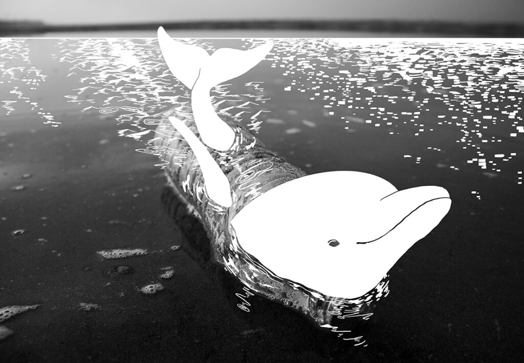 ゴミの浮いているその海は、海に住んでいる誰かの家だ。 海に浮いているペットボトルのゴミをイルカに描き換え、イルカも住めるきれいな海にしようという気持ちを表現しました。