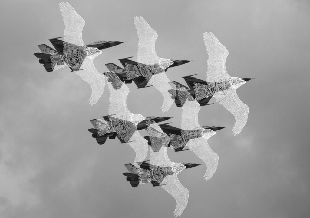 鳥が自由に飛べる平和な空を目指して。 世界から戦争がなくなるように、空を飛ぶ戦闘機が自由に飛ぶ鳥になるように願って描きました。